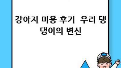 댕댕이 미용, 안전하고 예쁘게! 피부질환까지 예방하는 완벽 가이드
