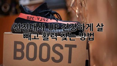 신진대사 UP! 건강하게 살 빼고 활력 찾는 방법