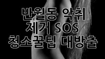 반월동 악취 제거 SOS 🚨 청소꿀팁 대방출!